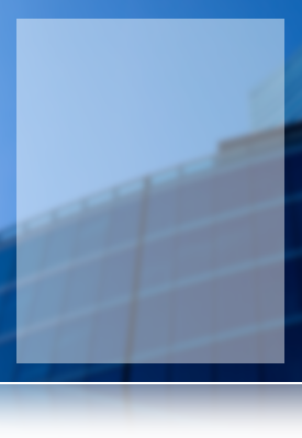 Data Axis's Corporate Profile